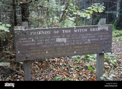 Hidden Artifacts of the Grand Portage Witch Trew